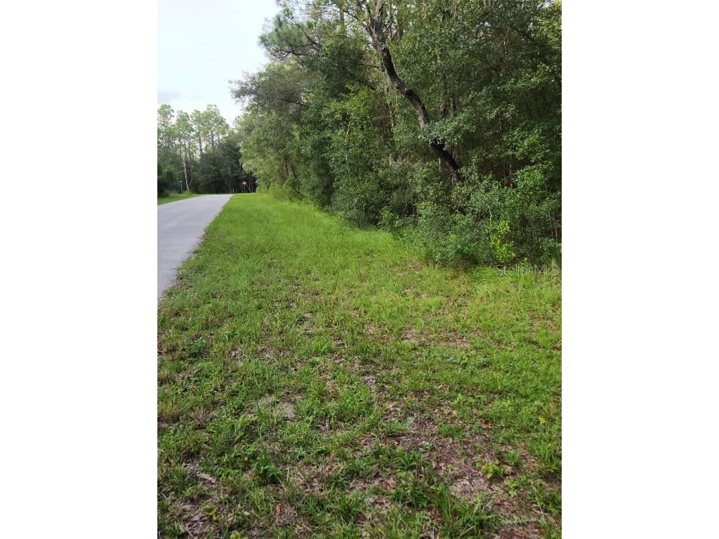 1603 SW Oregon Court Hernando FL 34442 OM663926 image1