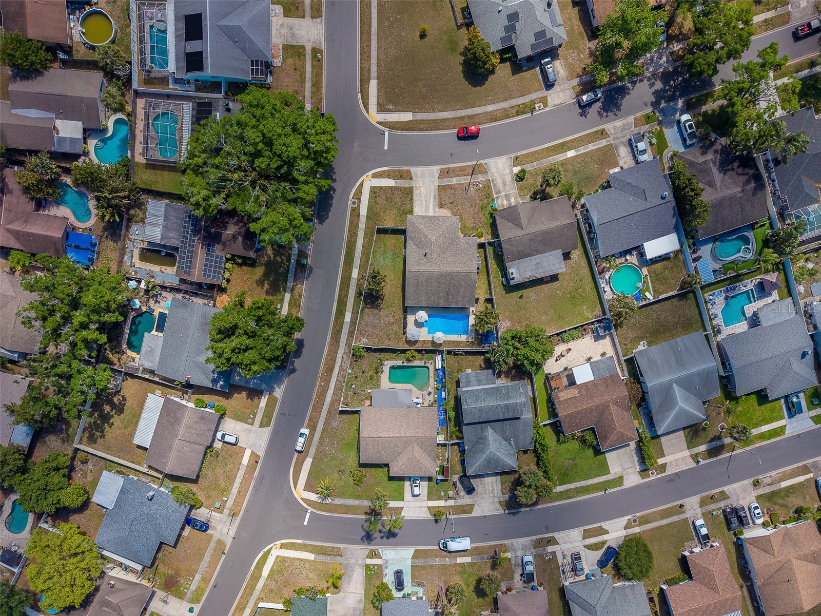 1603 W Orangecrest Avenue Palm Harbor FL 34683 TB8493698 image45