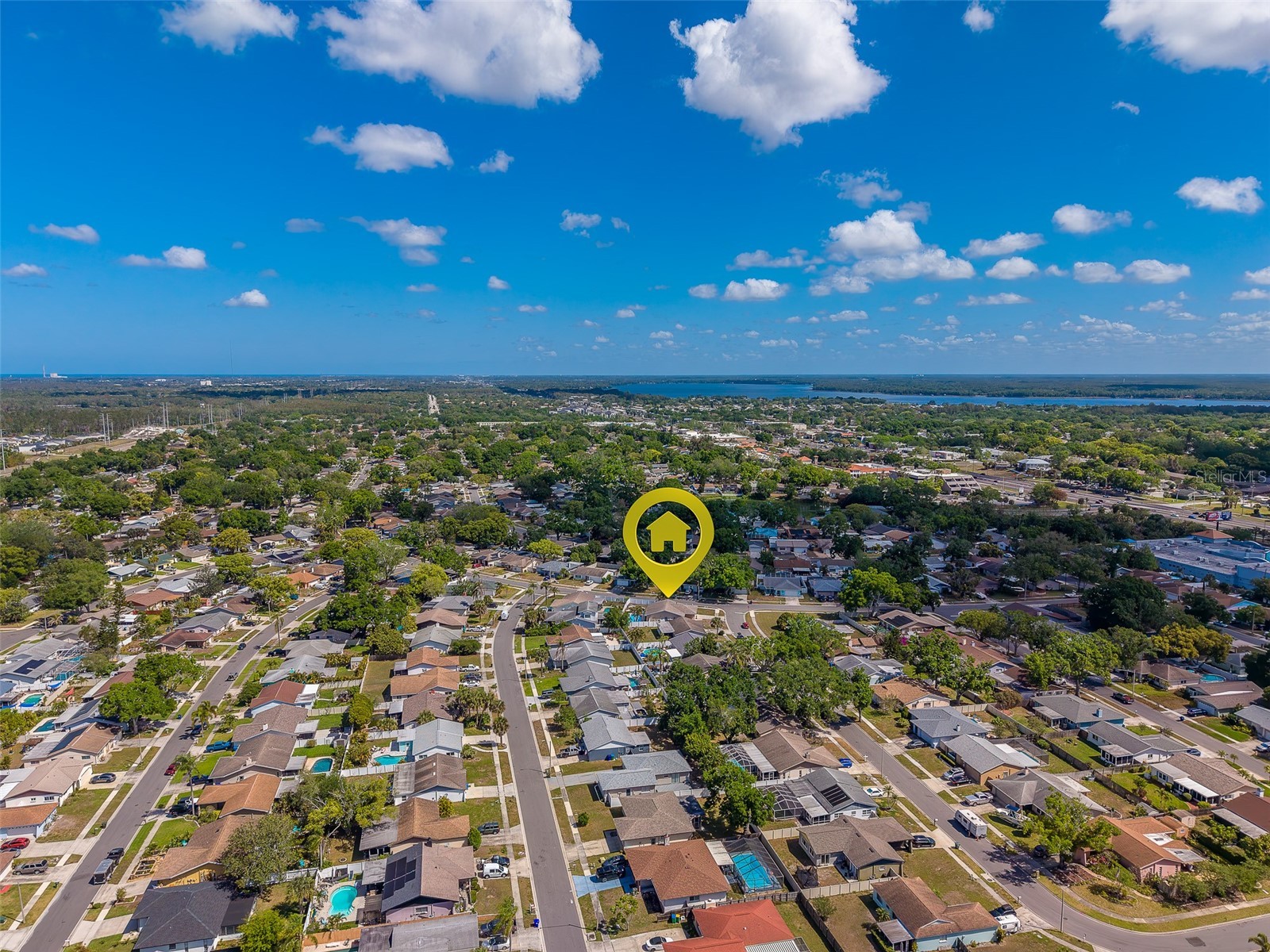 1603 W Orangecrest Avenue Palm Harbor FL 34683 TB8493698 image47