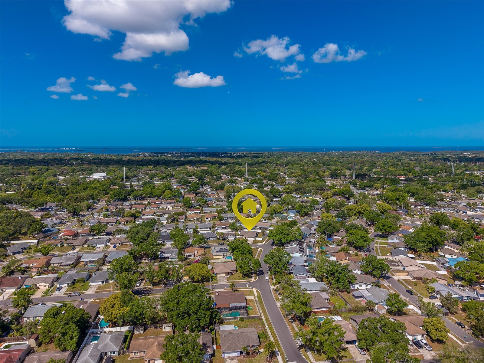 1603 W Orangecrest Avenue Palm Harbor FL 34683 TB8493698 image48