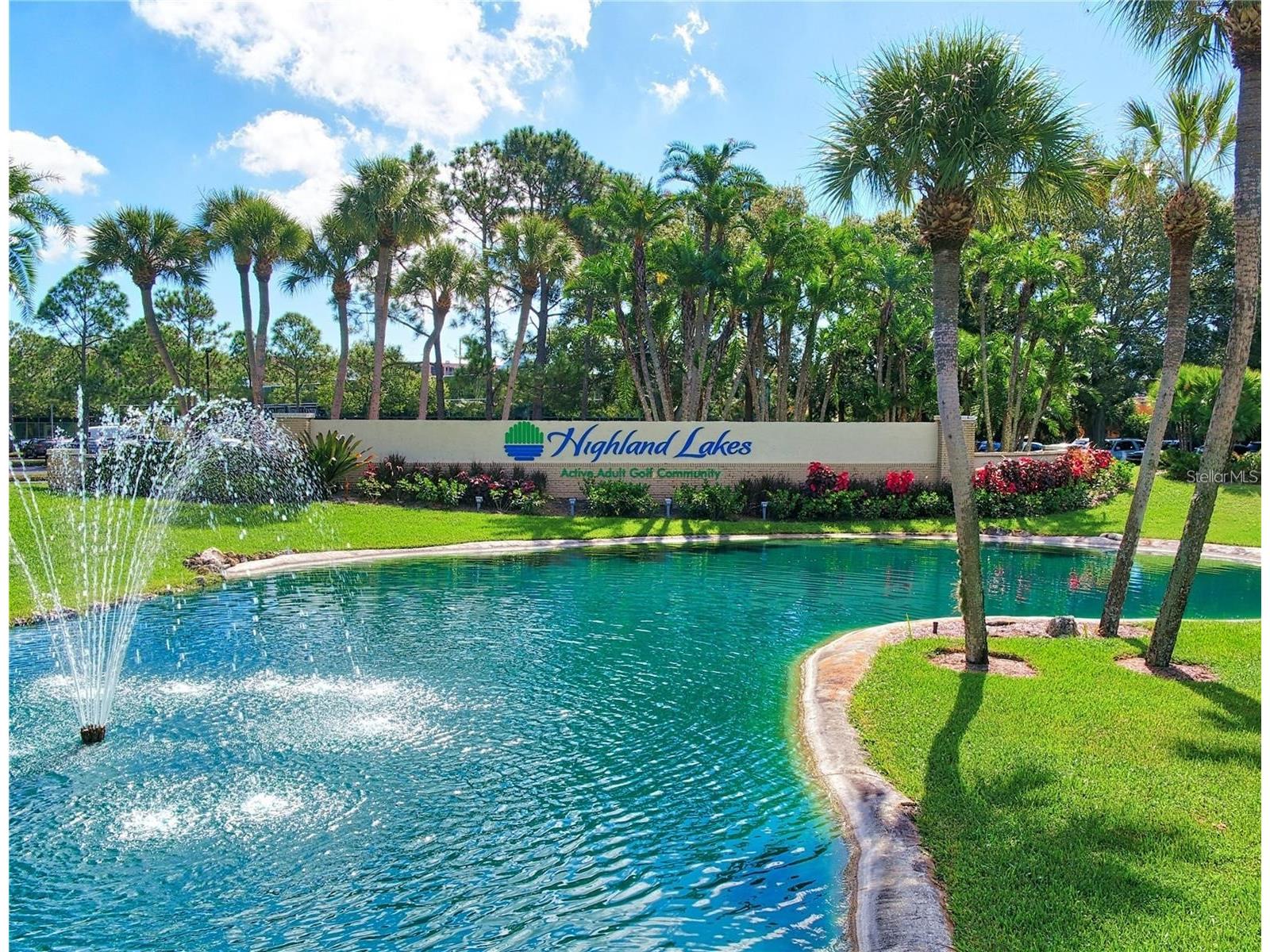 1603 Whitebridge Drive #D Palm Harbor FL 34684 - LAKE TARPON TB8463449 image27