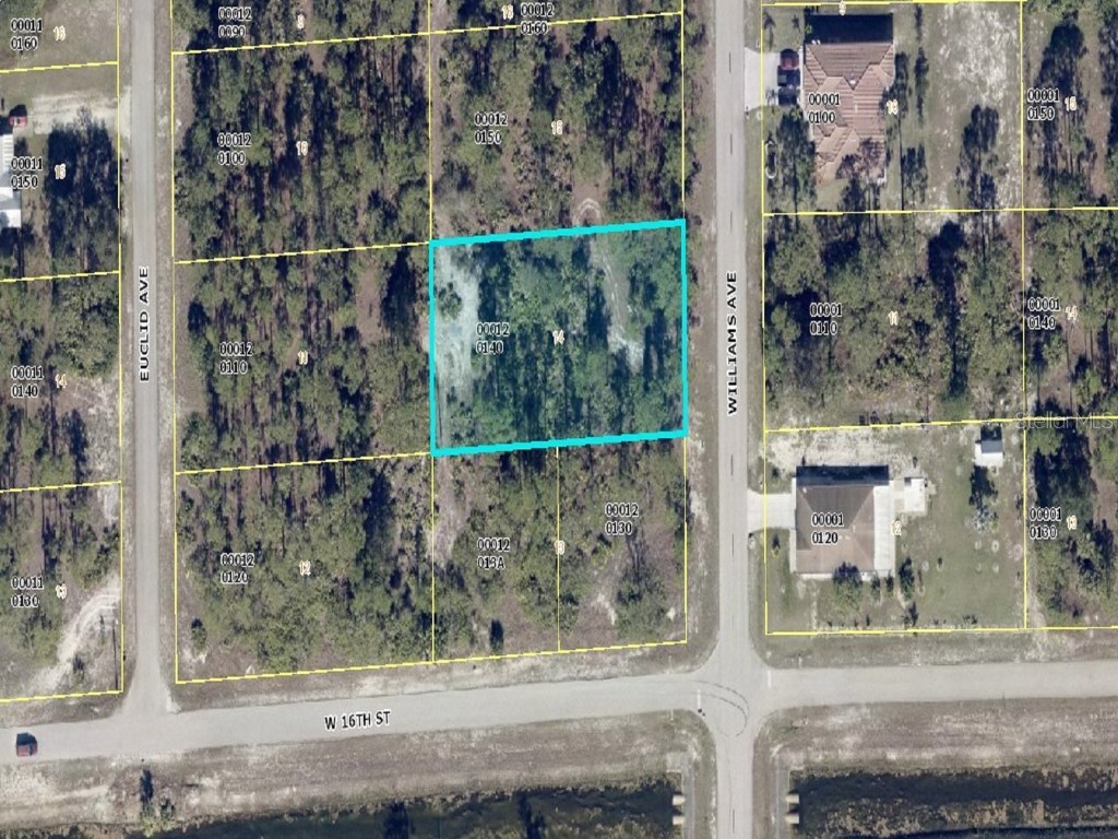 1603 Williams Avenue Lehigh Acres FL 33972 O6116496 image1