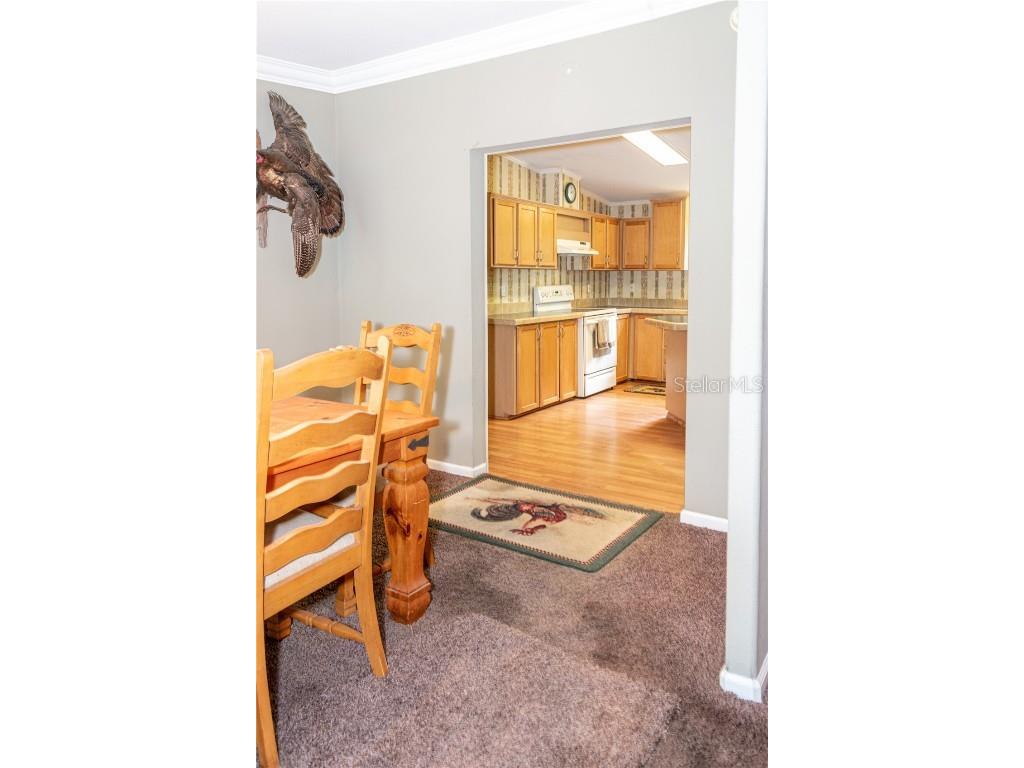 16030 Hays Road Spring Hill FL 34610 W7877672 image19