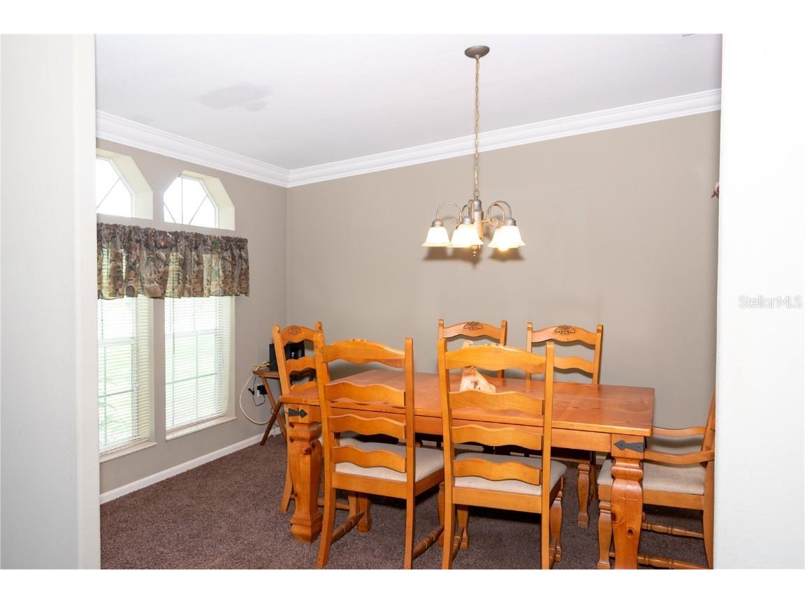 16030 Hays Road Spring Hill FL 34610 W7877672 image46