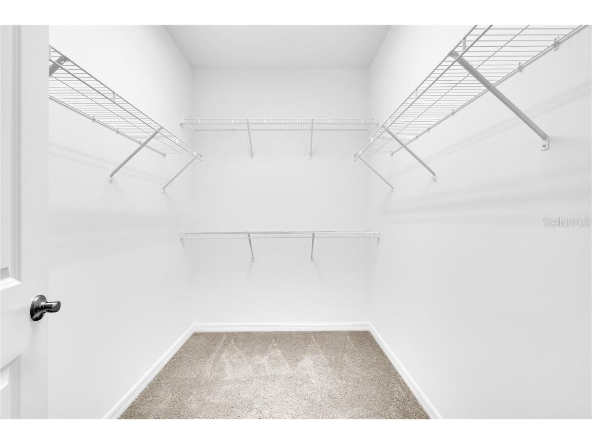 16030 Micelli Dr Winter Garden FL 34787 O6353561 image19