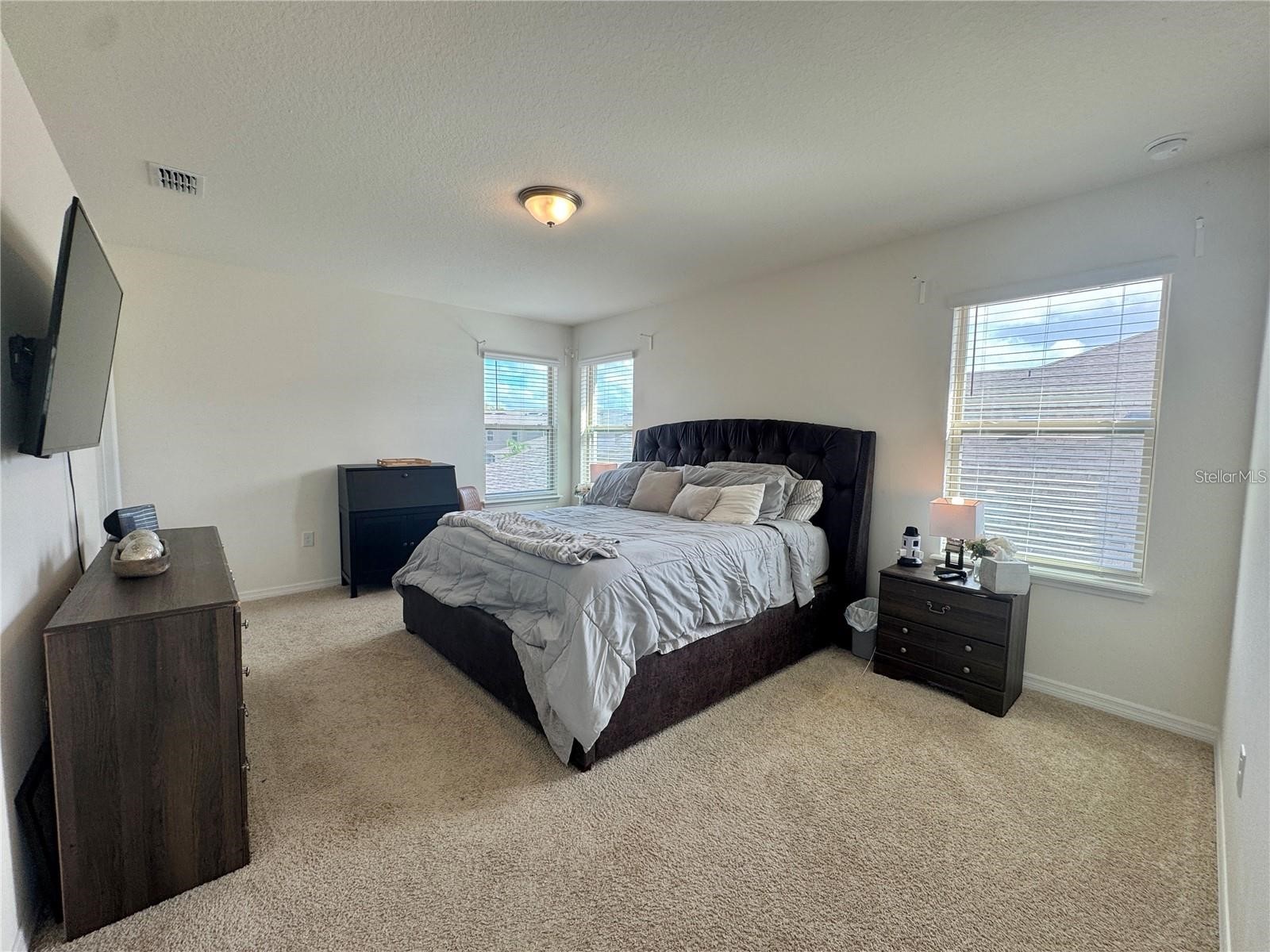 16031 Scarpetta Street Winter Garden FL 34787 O6373345 image8