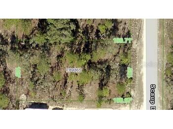 16031 Scaup Duck Avenue Weeki Wachee FL 34614 W7864149 image1