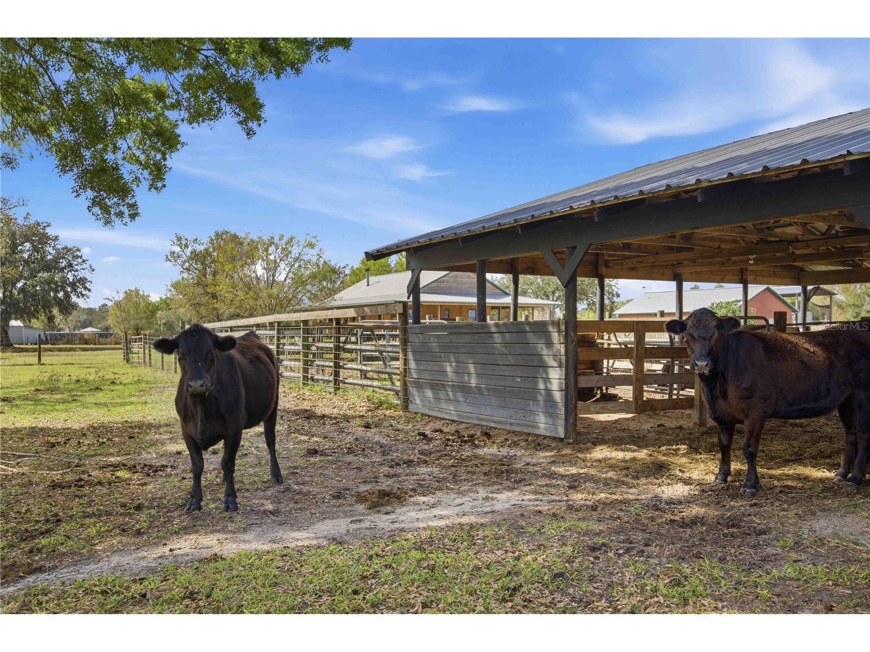 16031 Winburn Drive S Sarasota FL 34240 A4685972 image36