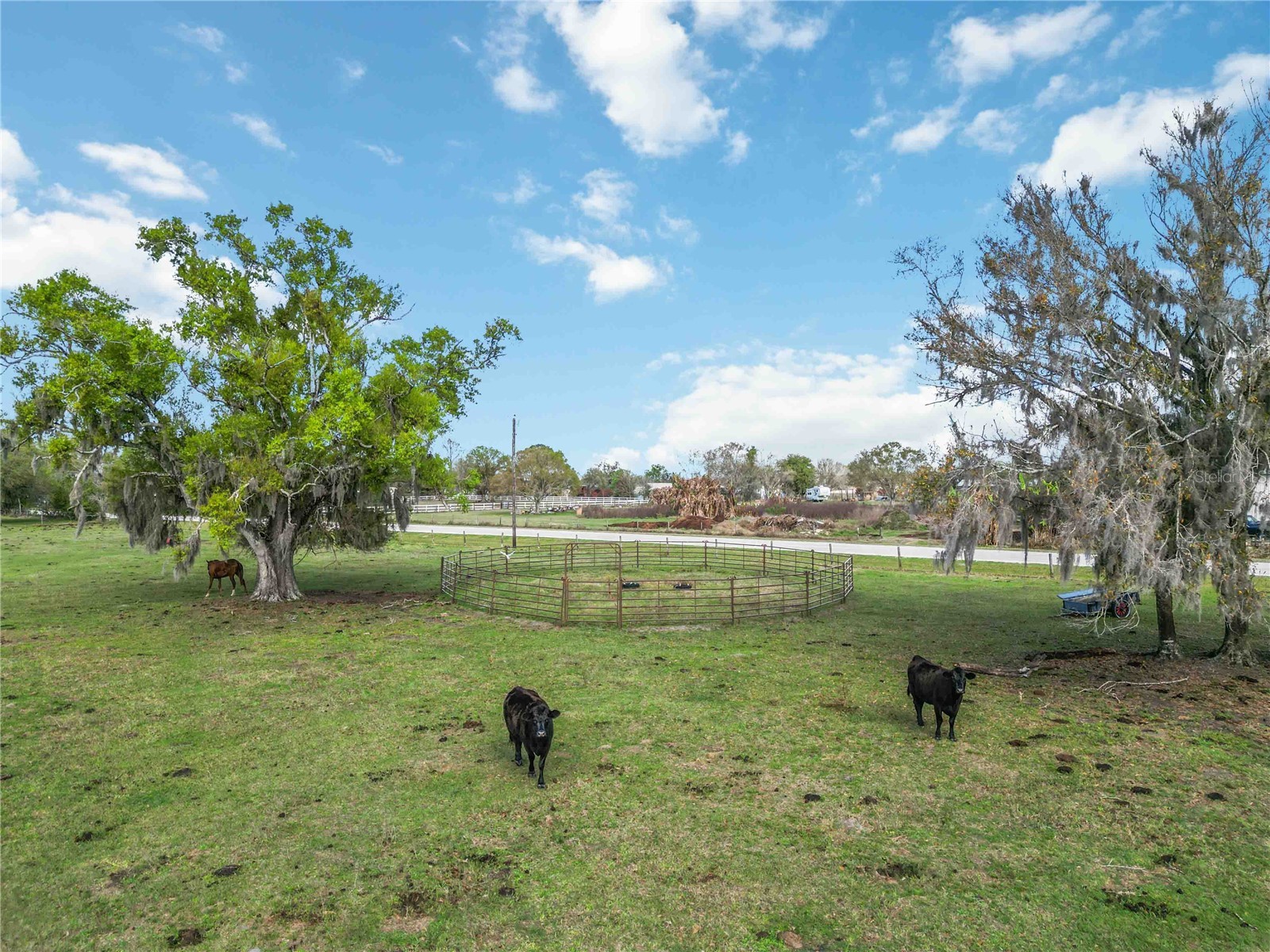 16031 Winburn Drive S Sarasota FL 34240 A4685972 image38