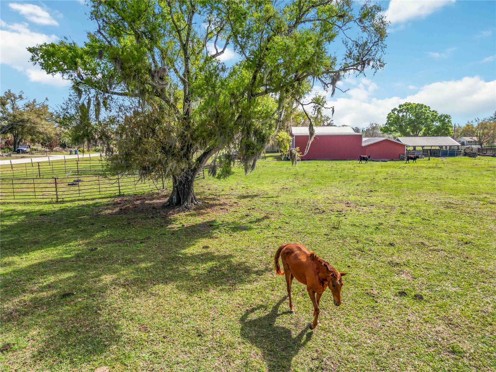 16031 Winburn Drive S Sarasota FL 34240 A4685972 image39