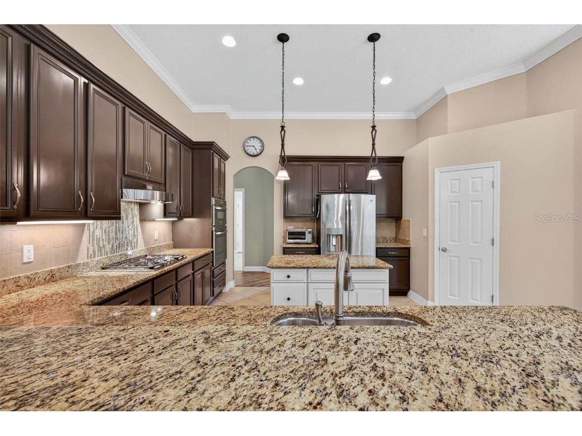 16032 Ivy Lake Drive Odessa FL 33556 - SOUTH BRANCH CREEK TB8432798 image10