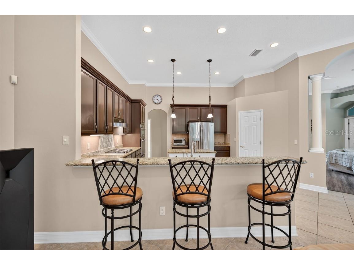 16032 Ivy Lake Drive Odessa FL 33556 - SOUTH BRANCH CREEK TB8432798 image11