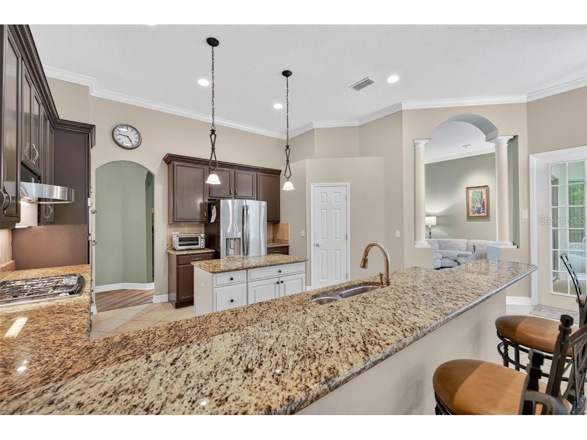 16032 Ivy Lake Drive Odessa FL 33556 - SOUTH BRANCH CREEK TB8432798 image12