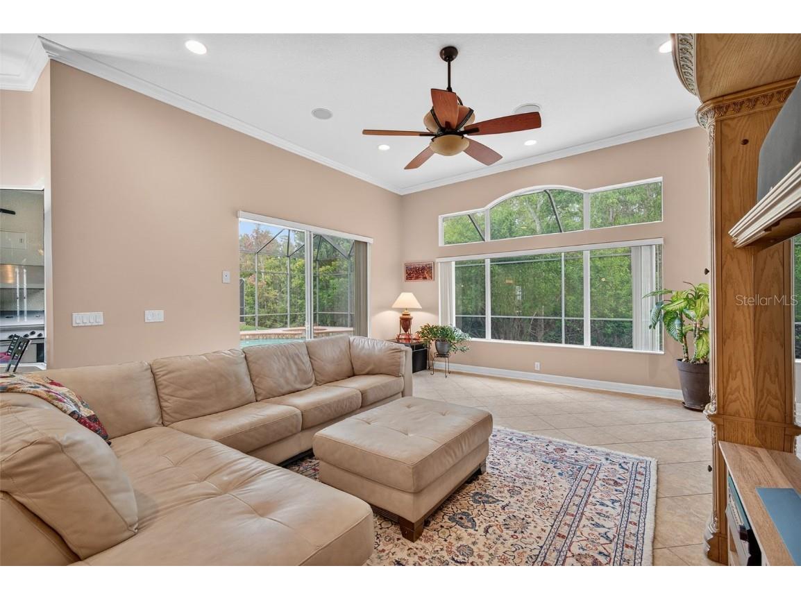 16032 Ivy Lake Drive Odessa FL 33556 - SOUTH BRANCH CREEK TB8432798 image19