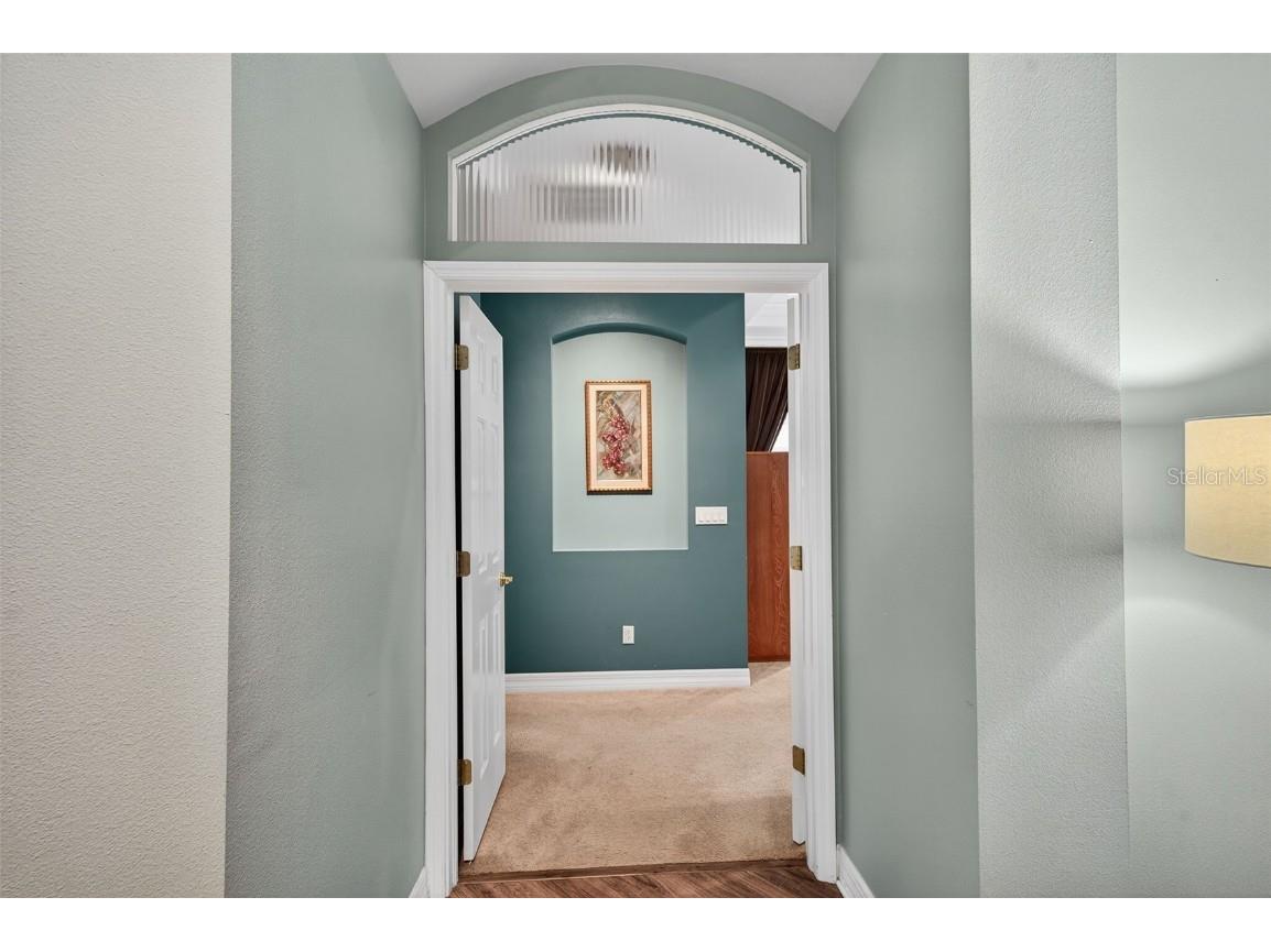 16032 Ivy Lake Drive Odessa FL 33556 - SOUTH BRANCH CREEK TB8432798 image30