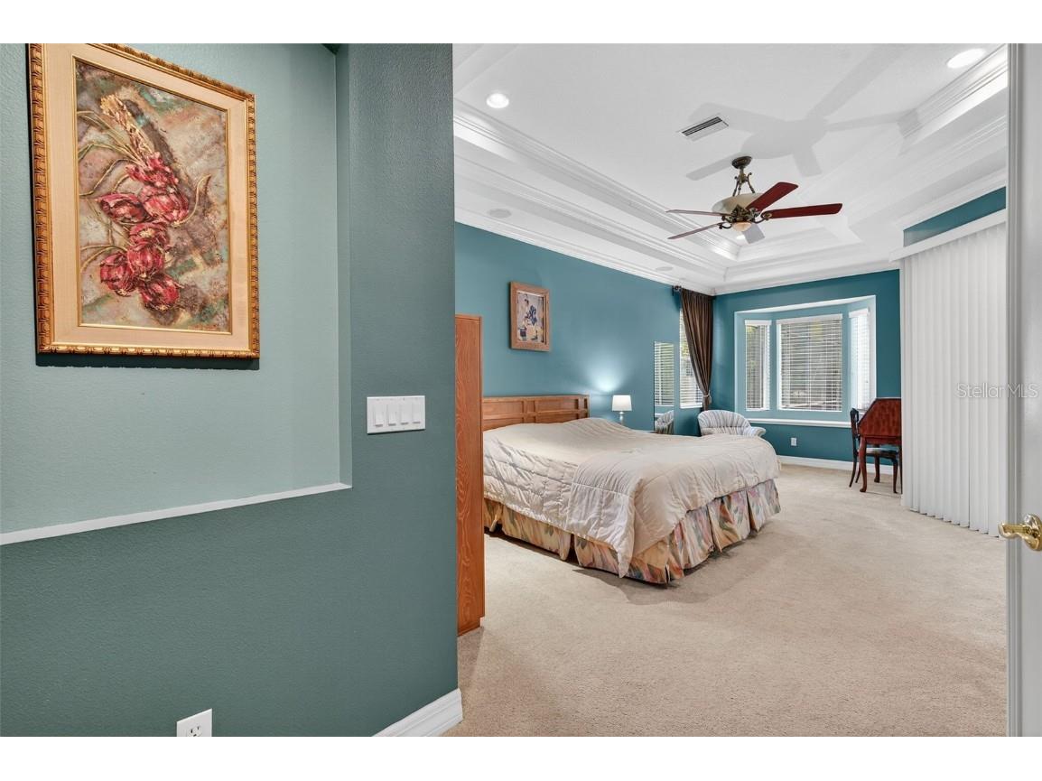 16032 Ivy Lake Drive Odessa FL 33556 - SOUTH BRANCH CREEK TB8432798 image31