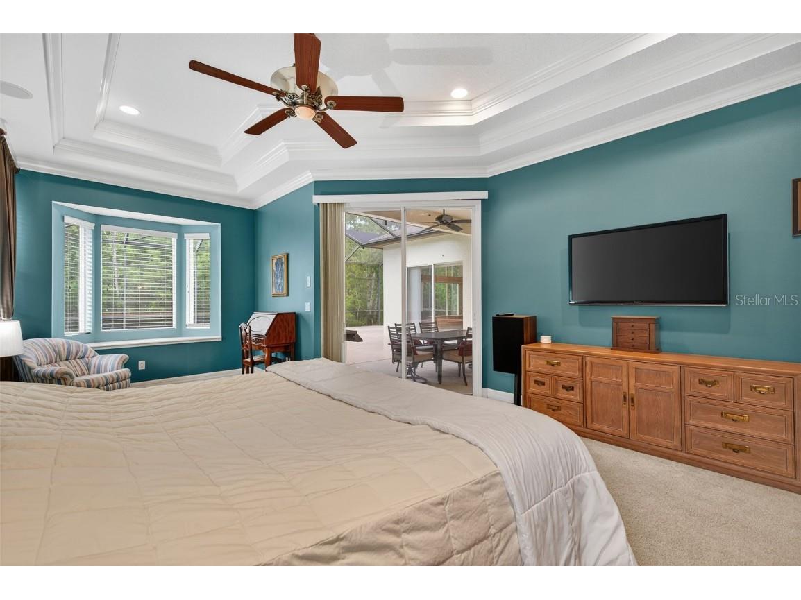 16032 Ivy Lake Drive Odessa FL 33556 - SOUTH BRANCH CREEK TB8432798 image33