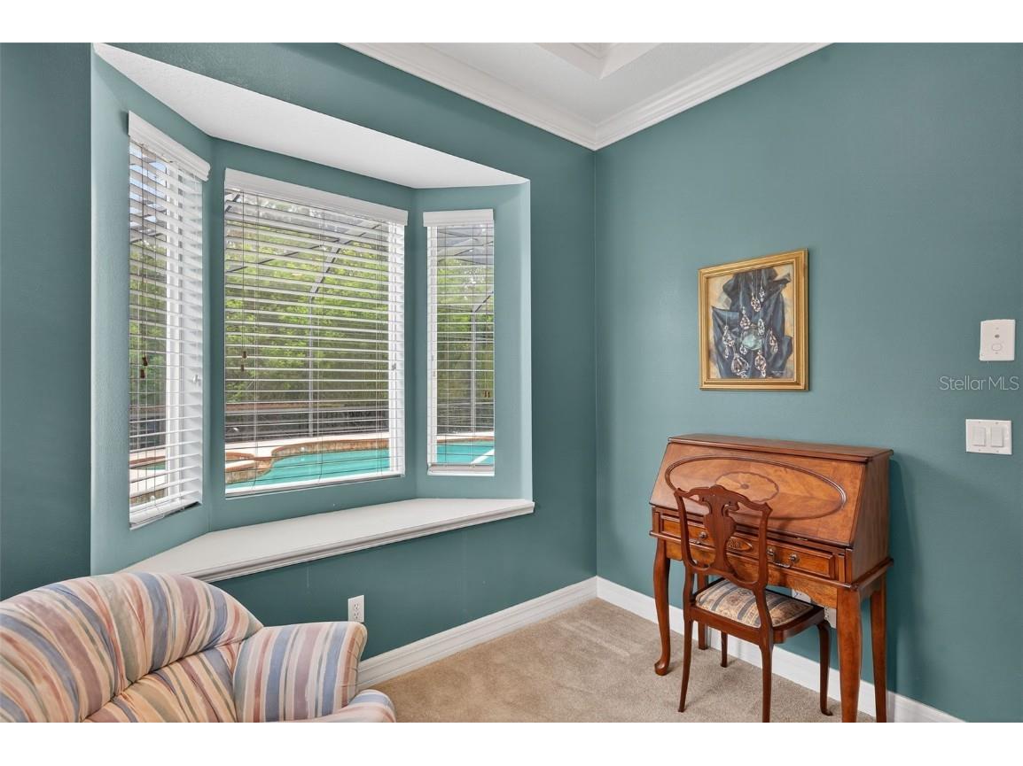 16032 Ivy Lake Drive Odessa FL 33556 - SOUTH BRANCH CREEK TB8432798 image35