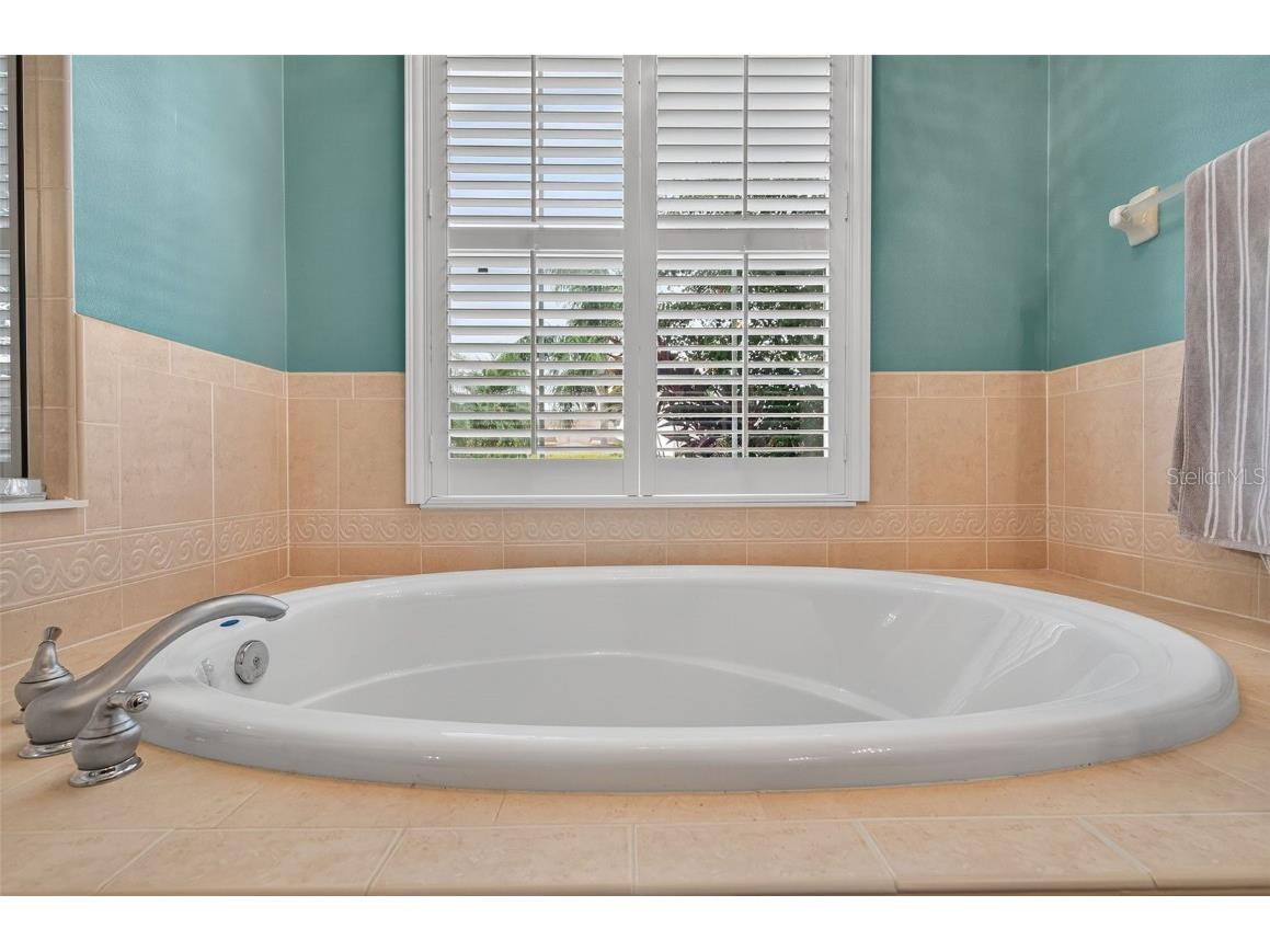 16032 Ivy Lake Drive Odessa FL 33556 - SOUTH BRANCH CREEK TB8432798 image37