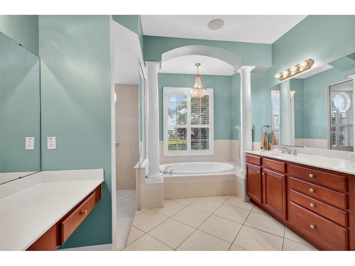 16032 Ivy Lake Drive Odessa FL 33556 - SOUTH BRANCH CREEK TB8432798 image39