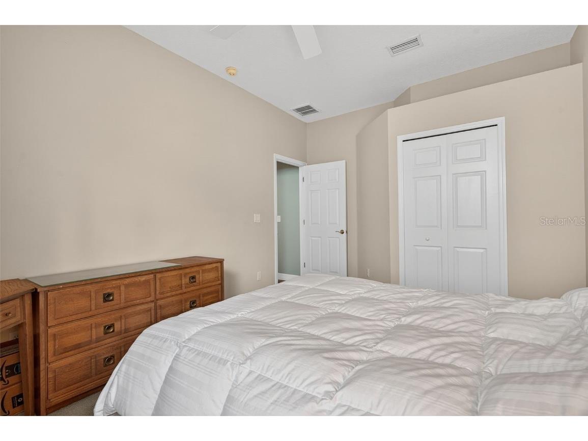 16032 Ivy Lake Drive Odessa FL 33556 - SOUTH BRANCH CREEK TB8432798 image50