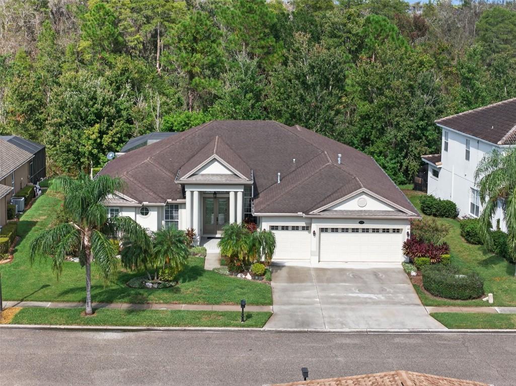 16032 Ivy Lake Drive Odessa FL 33556 - SOUTH BRANCH CREEK TB8432798 image55