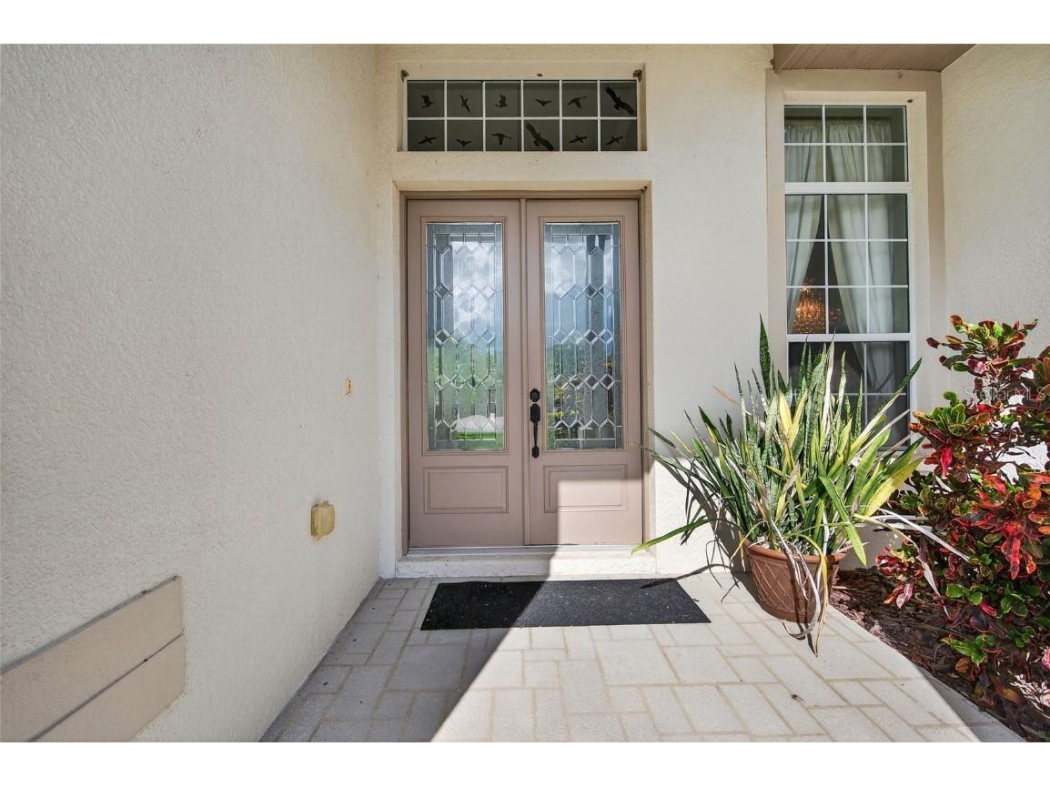 16032 Ivy Lake Drive Odessa FL 33556 - SOUTH BRANCH CREEK TB8432798 image57