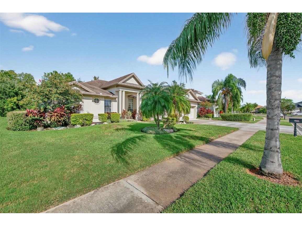 16032 Ivy Lake Drive Odessa FL 33556 - SOUTH BRANCH CREEK TB8432798 image61