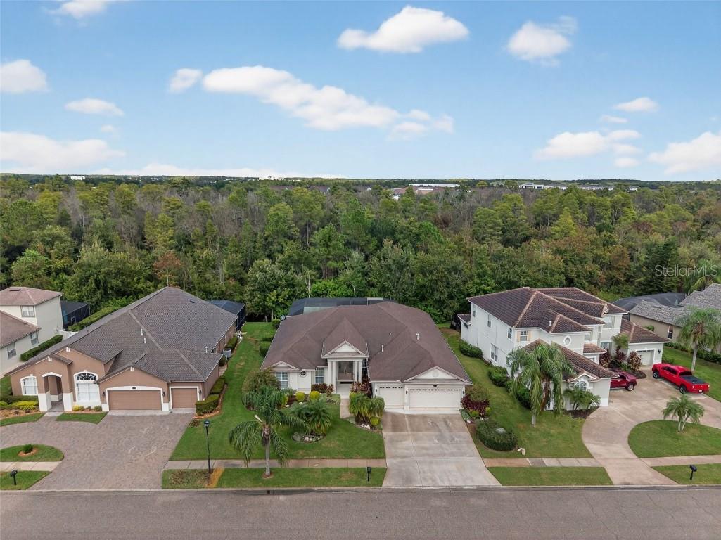 16032 Ivy Lake Drive Odessa FL 33556 - SOUTH BRANCH CREEK TB8432798 image62