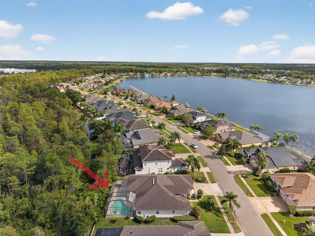 16032 Ivy Lake Drive Odessa FL 33556 - SOUTH BRANCH CREEK TB8432798 image64