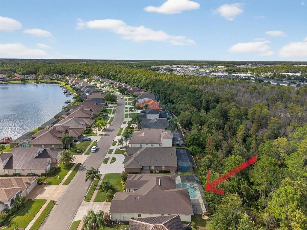 16032 Ivy Lake Drive Odessa FL 33556 - SOUTH BRANCH CREEK TB8432798 image65