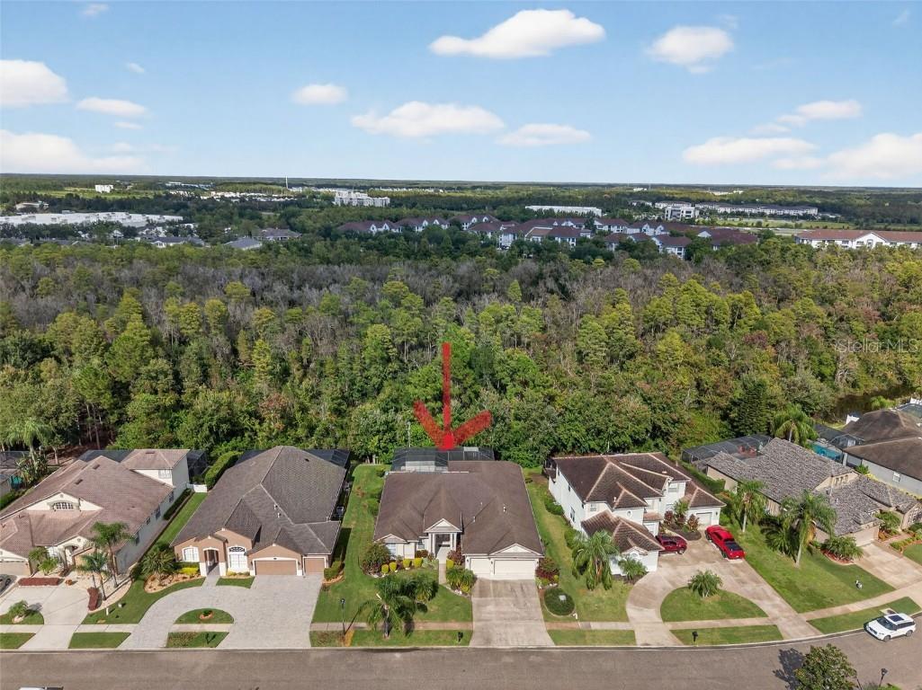 16032 Ivy Lake Drive Odessa FL 33556 - SOUTH BRANCH CREEK TB8432798 image66