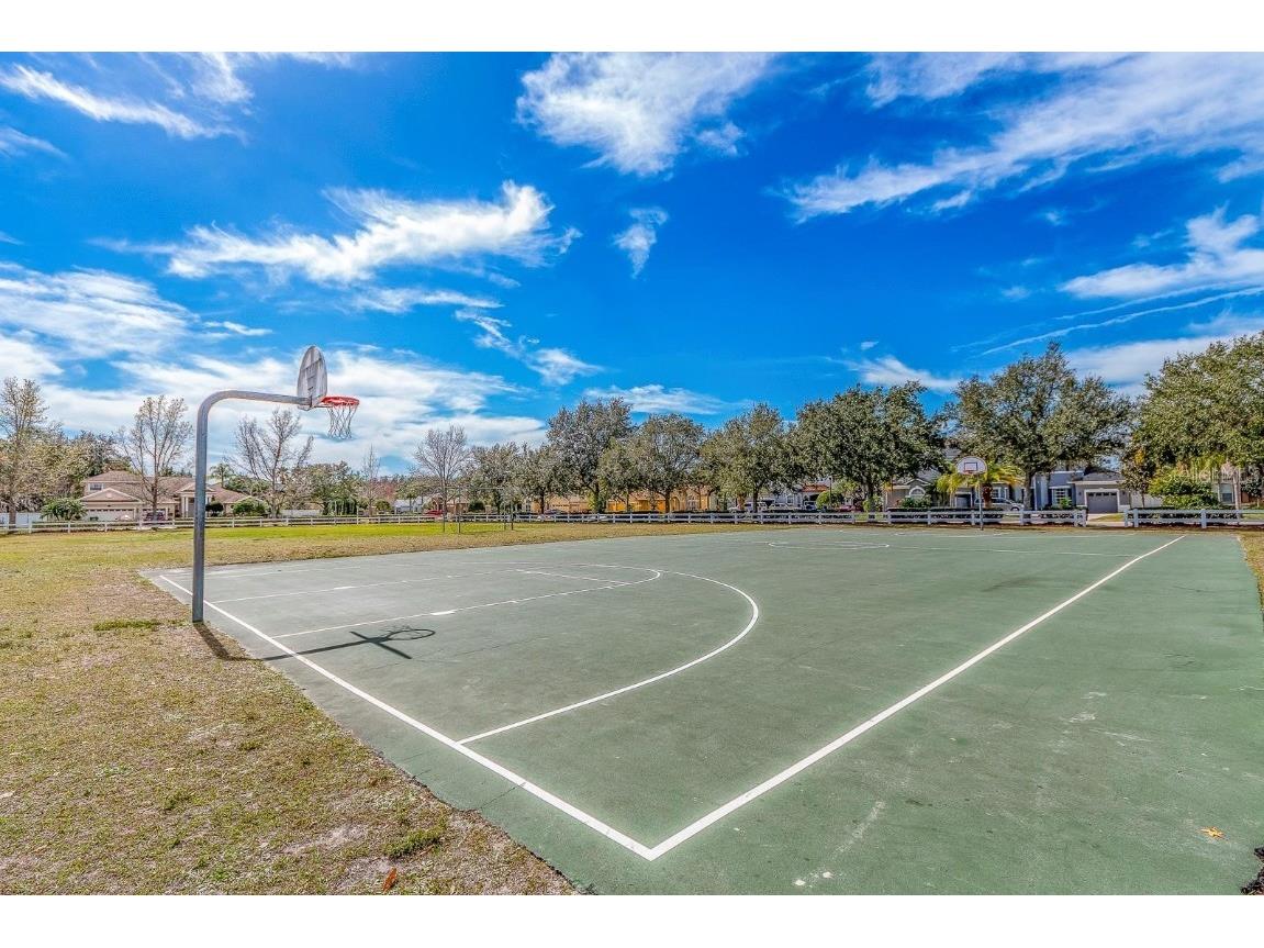 16032 Ivy Lake Drive Odessa FL 33556 - SOUTH BRANCH CREEK TB8432798 image67