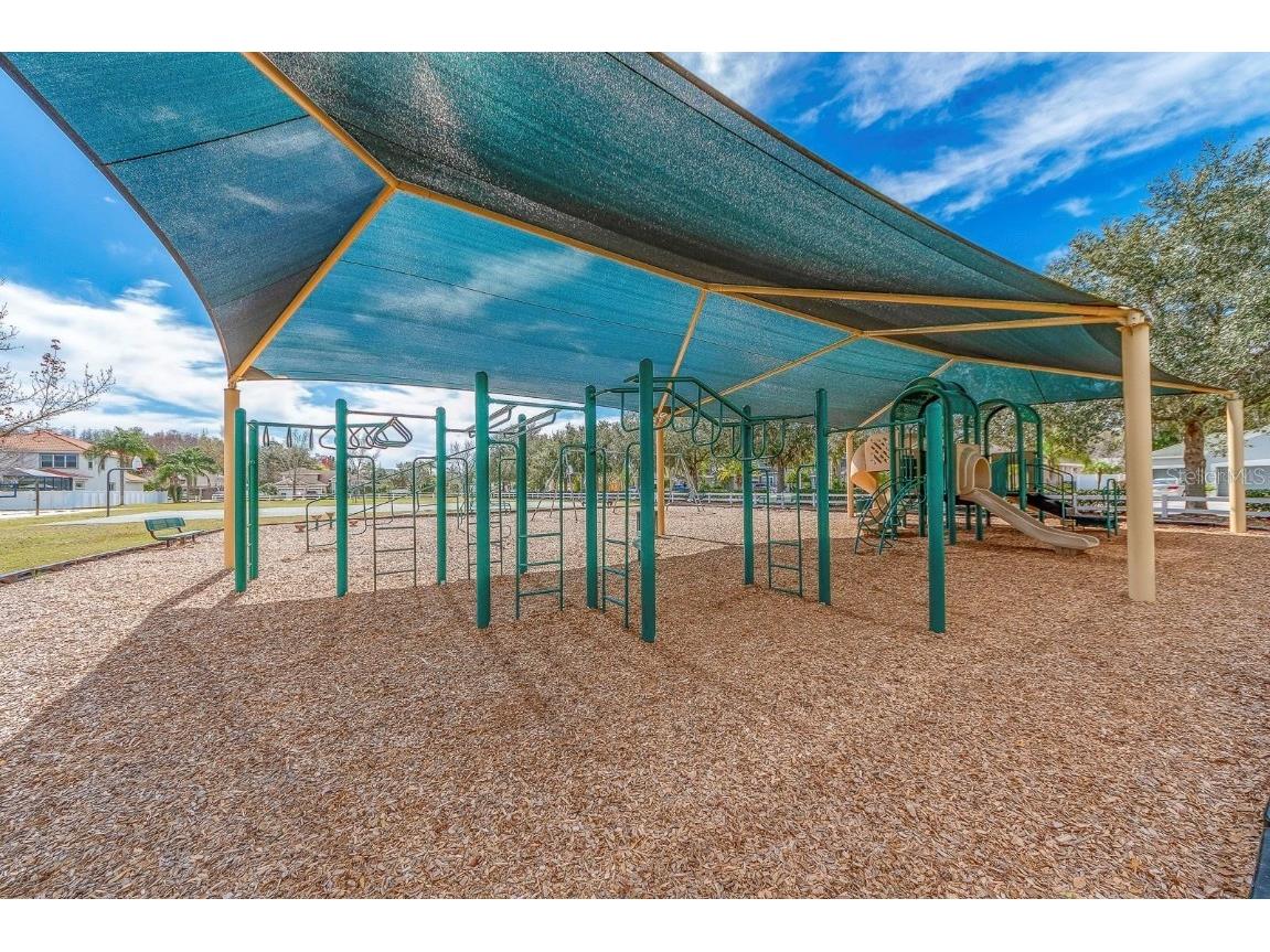 16032 Ivy Lake Drive Odessa FL 33556 - SOUTH BRANCH CREEK TB8432798 image71