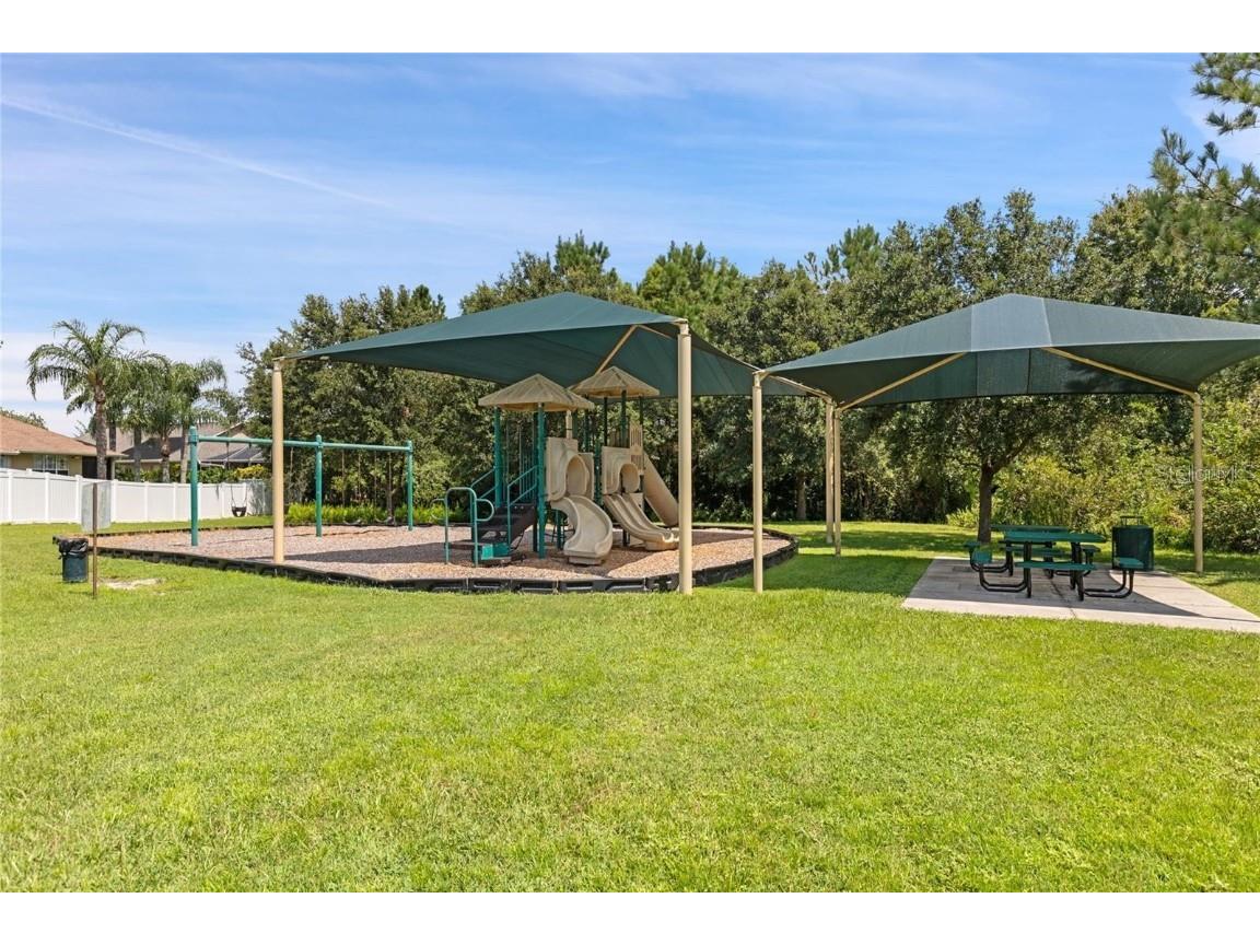 16032 Ivy Lake Drive Odessa FL 33556 - SOUTH BRANCH CREEK TB8432798 image72