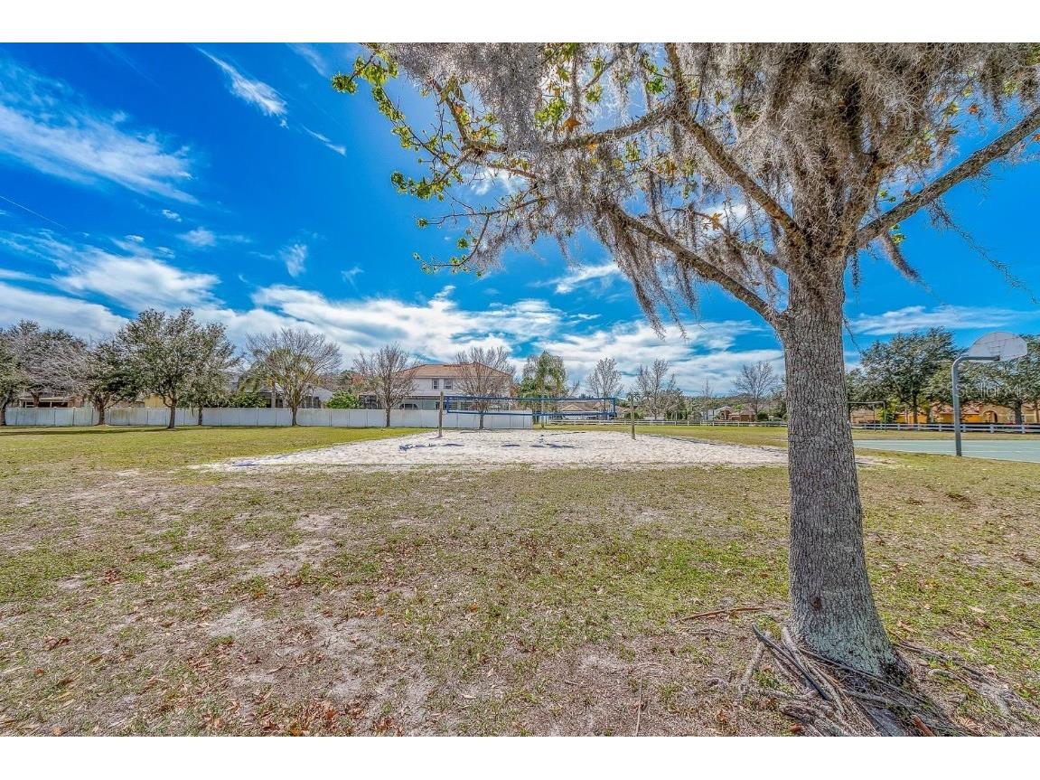 16032 Ivy Lake Drive Odessa FL 33556 - SOUTH BRANCH CREEK TB8432798 image73