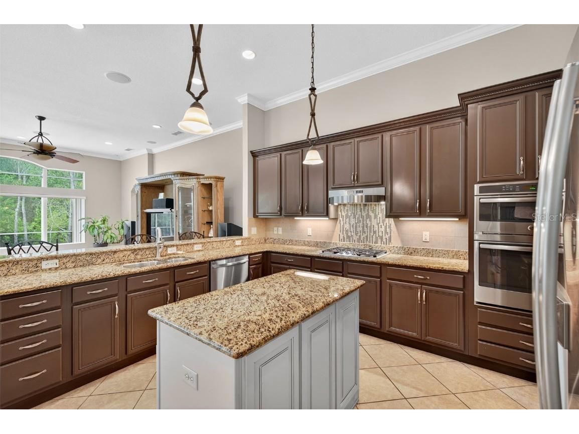 16032 Ivy Lake Drive Odessa FL 33556 - SOUTH BRANCH CREEK TB8432798 image8