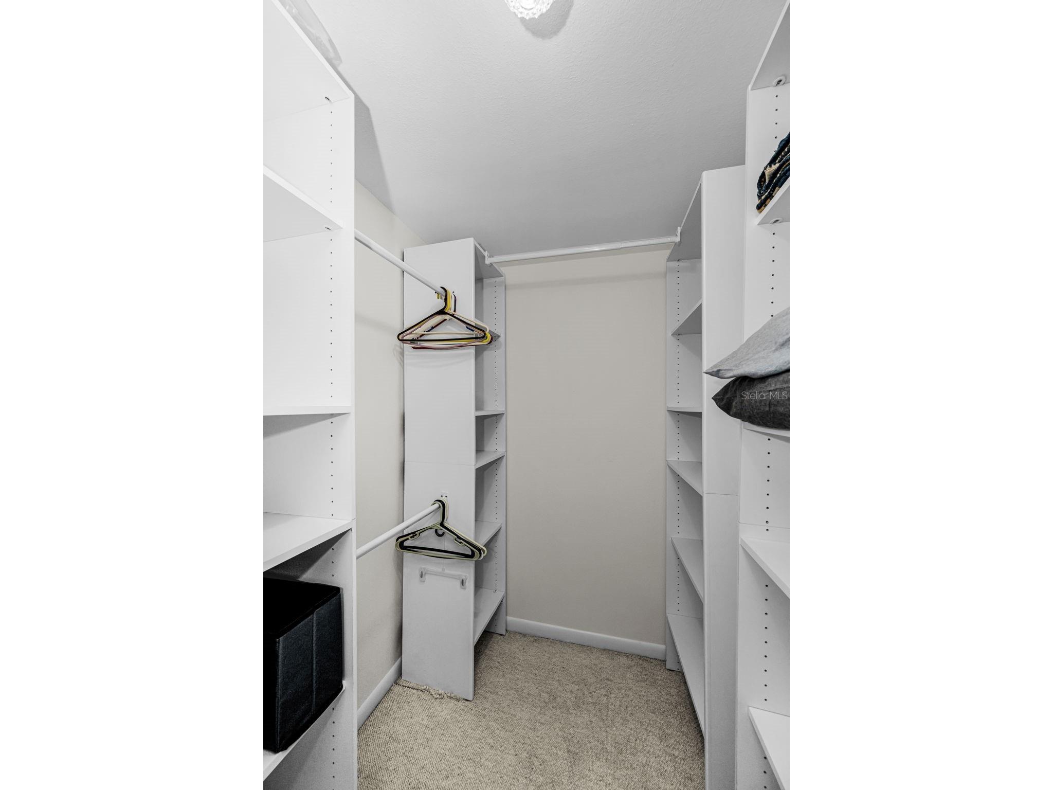16032 Tree Line Drive Hudson FL 34667 TB8510856 image22