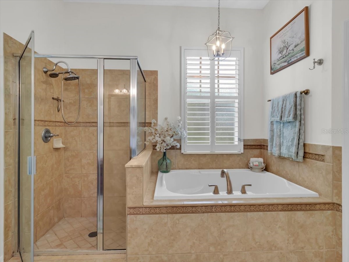 16033 Mulberrypark Circle Lithia FL 33547 L4961908 image34