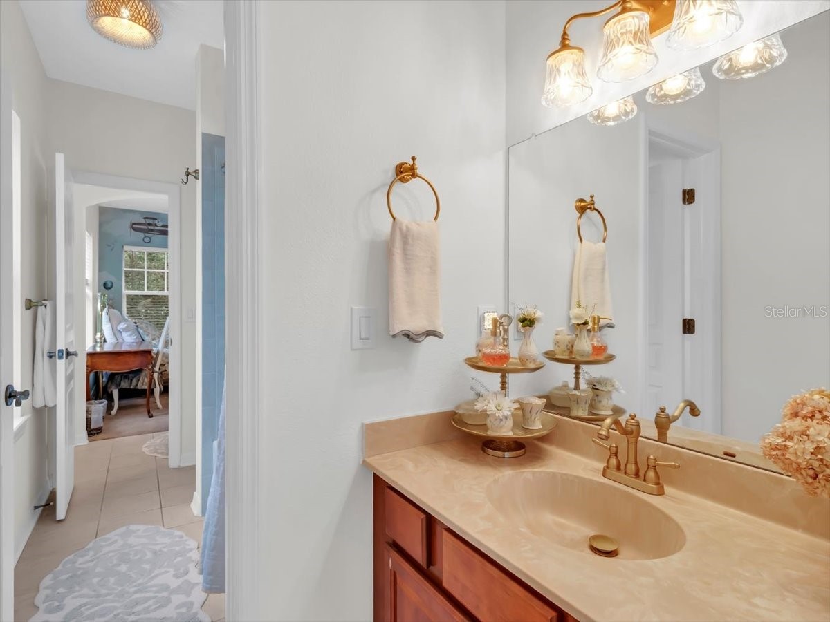 16033 Mulberrypark Circle Lithia FL 33547 L4961908 image46