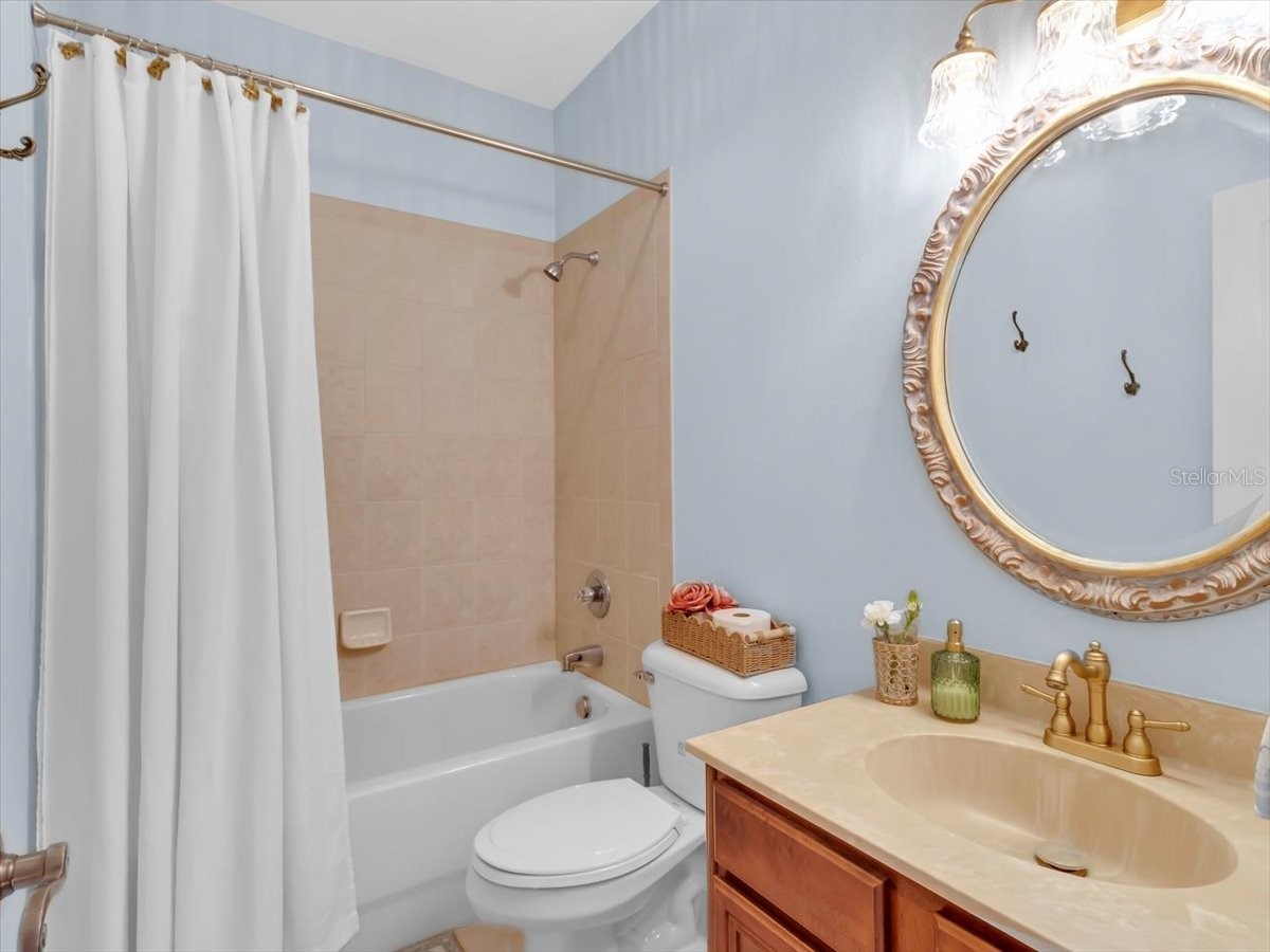 16033 Mulberrypark Circle Lithia FL 33547 L4961908 image48