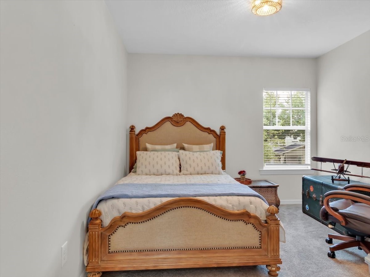 16033 Mulberrypark Circle Lithia FL 33547 L4961908 image49