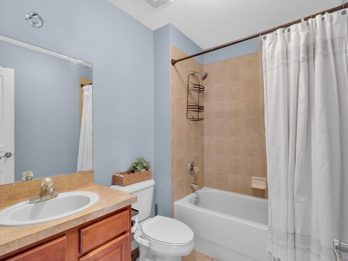 16033 Mulberrypark Circle Lithia FL 33547 L4961908 image58