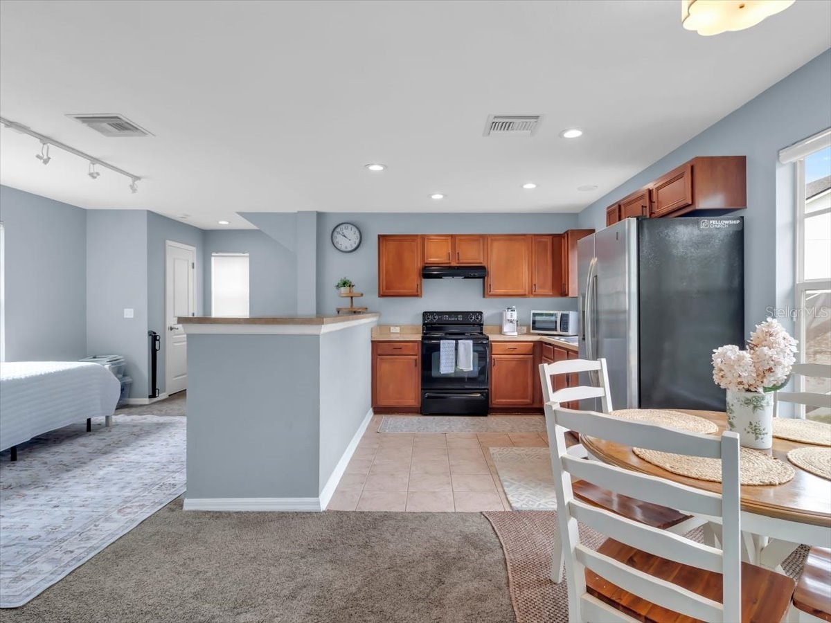 16033 Mulberrypark Circle Lithia FL 33547 L4961908 image61
