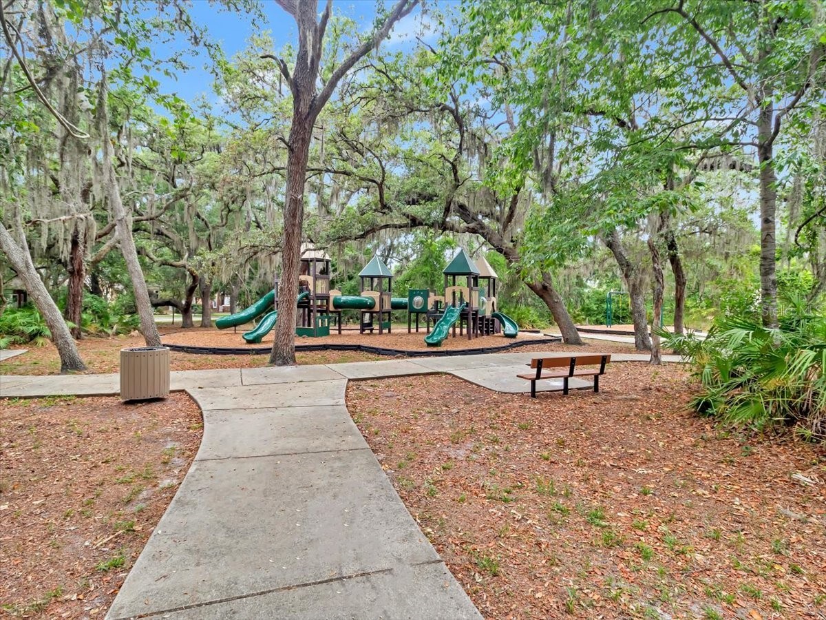 16033 Mulberrypark Circle Lithia FL 33547 L4961908 image69