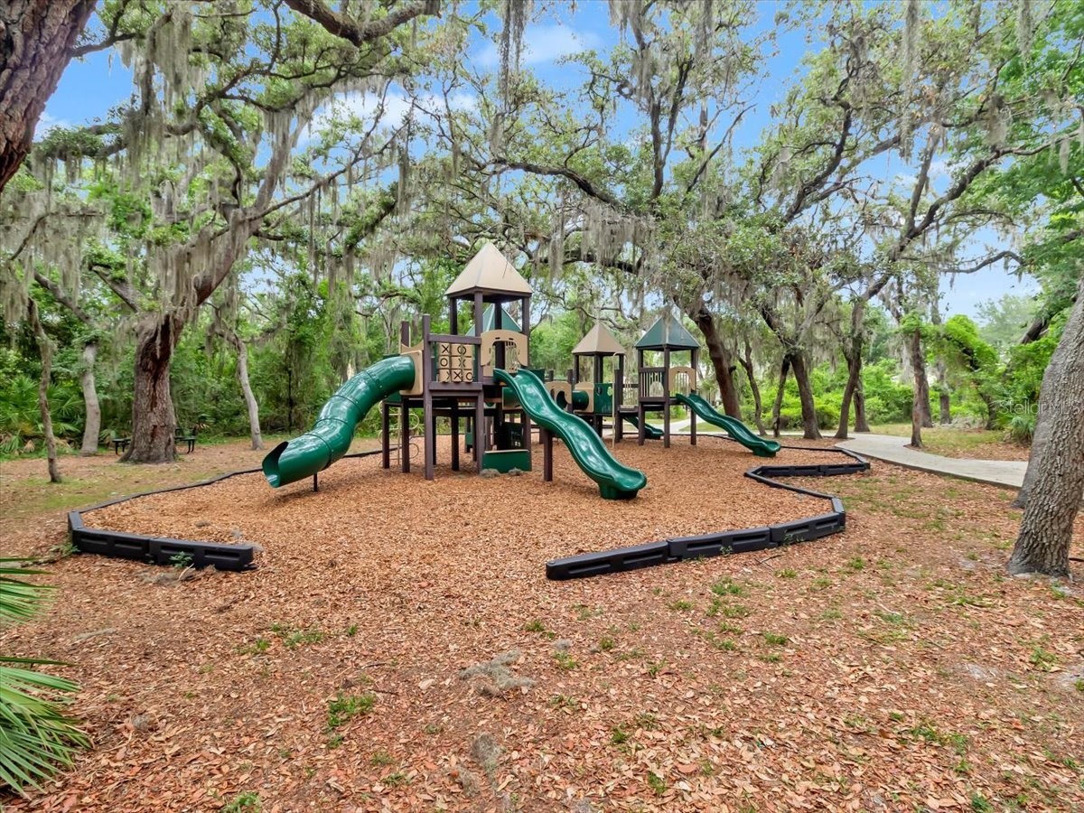 16033 Mulberrypark Circle Lithia FL 33547 L4961908 image70