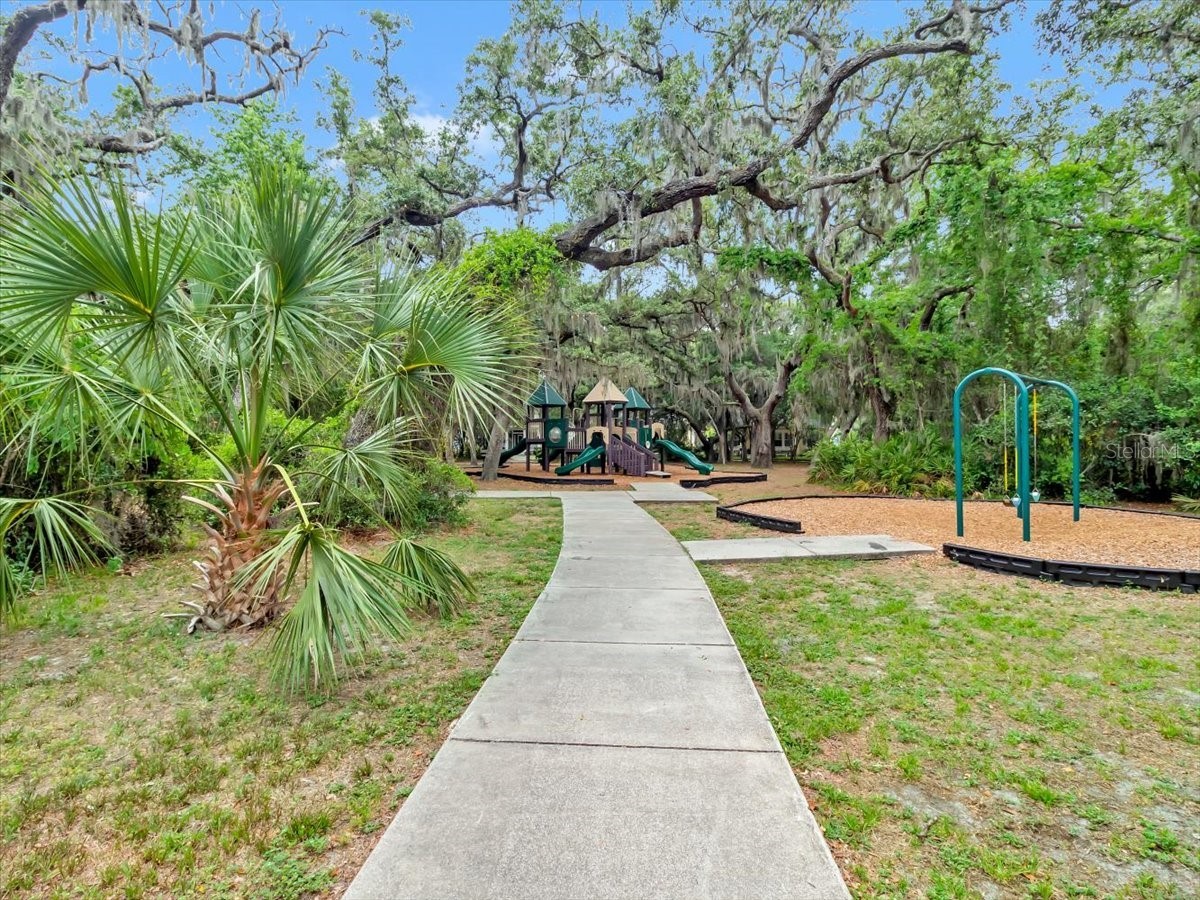 16033 Mulberrypark Circle Lithia FL 33547 L4961908 image71