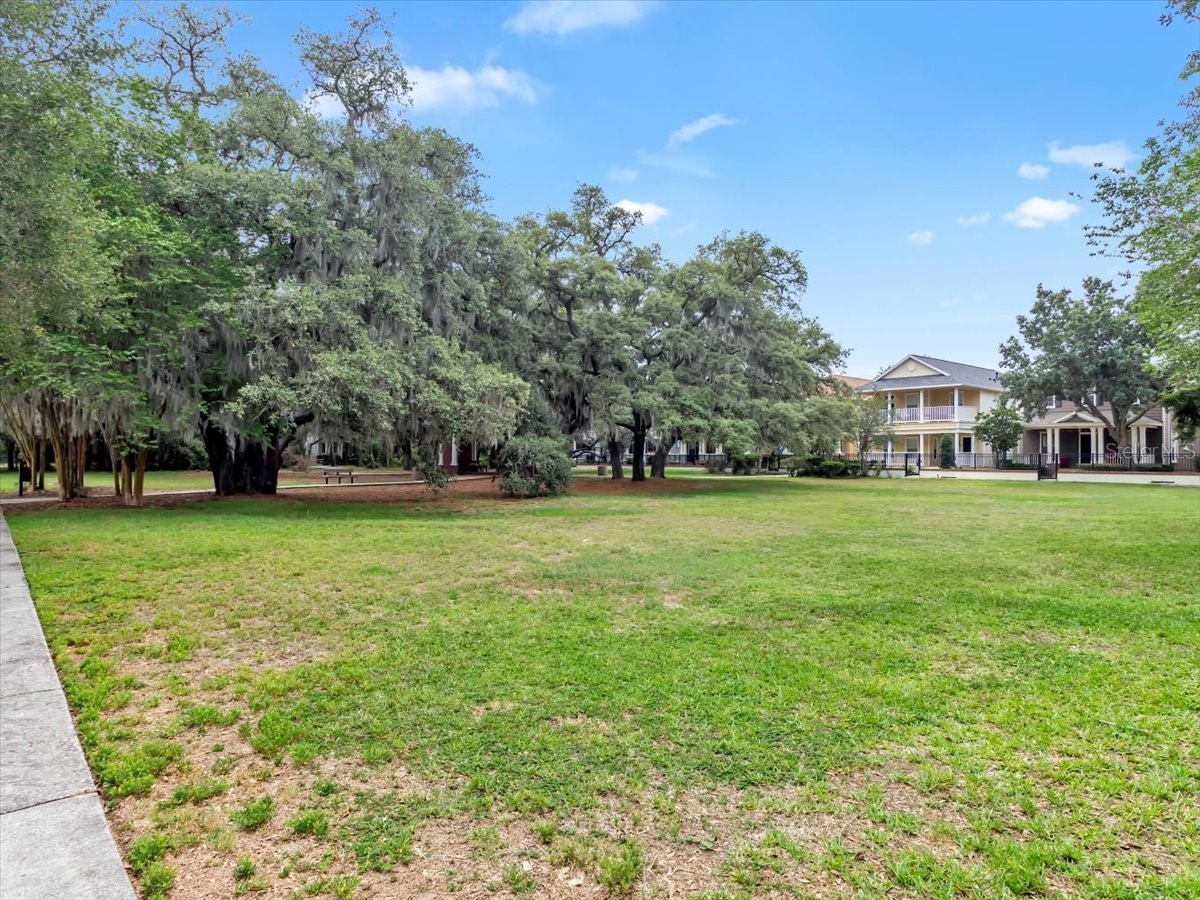 16033 Mulberrypark Circle Lithia FL 33547 L4961908 image72