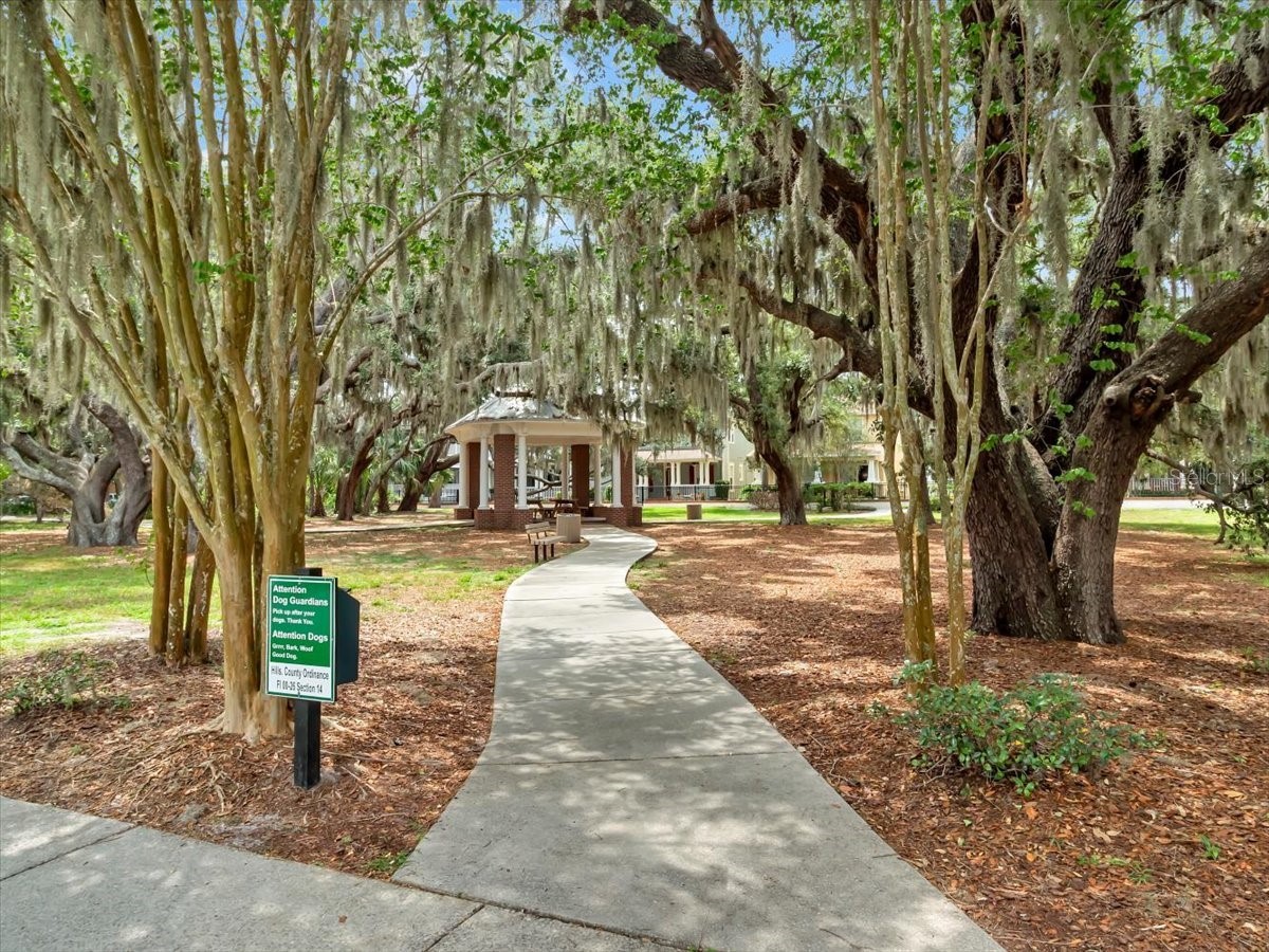 16033 Mulberrypark Circle Lithia FL 33547 L4961908 image73