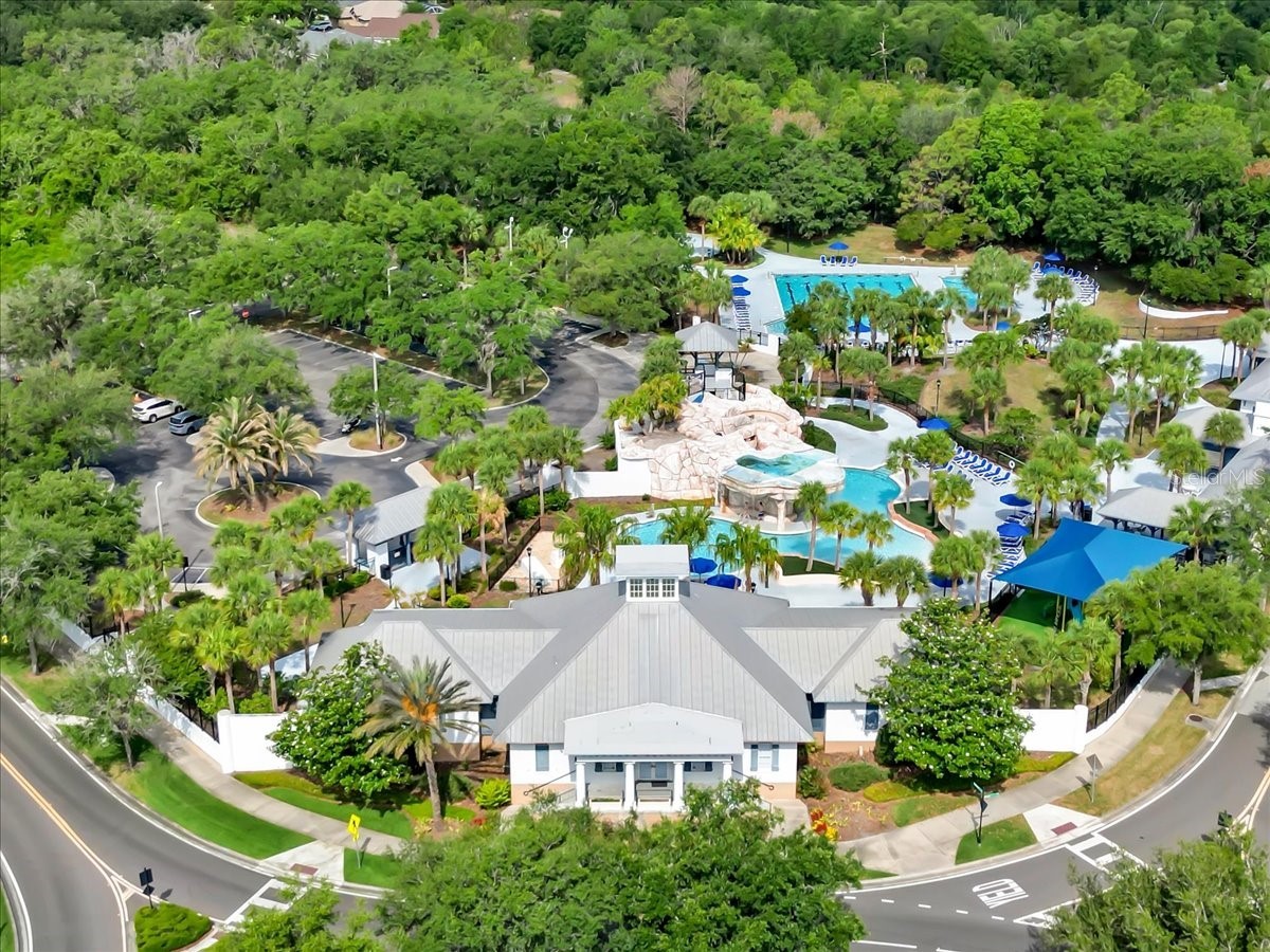 16033 Mulberrypark Circle Lithia FL 33547 L4961908 image74
